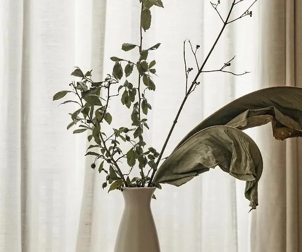 Octavia Casa