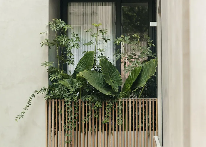 Octavia Casa Bed & Breakfast