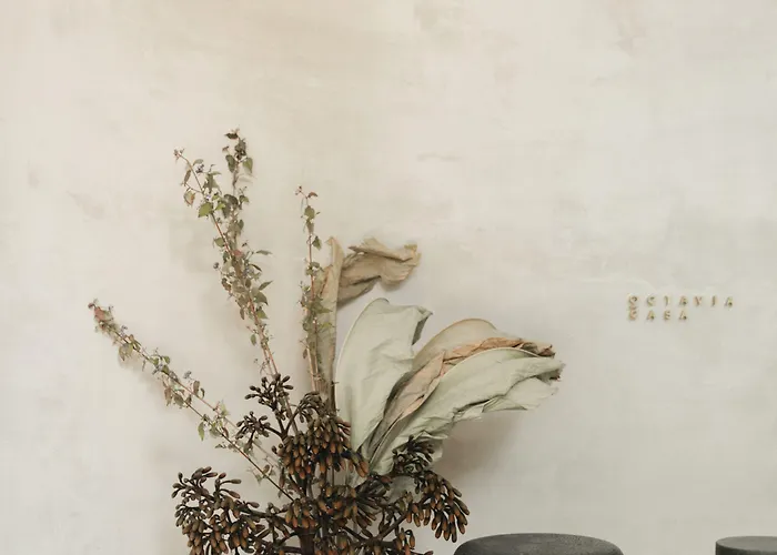Octavia Casa ベッド・アンド・ブレックファスト