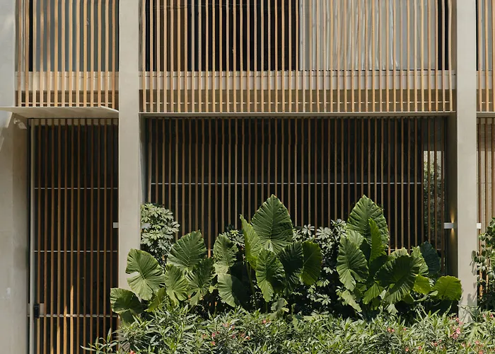 ベッド・アンド・ブレックファスト Octavia Casa メキシコシティ
